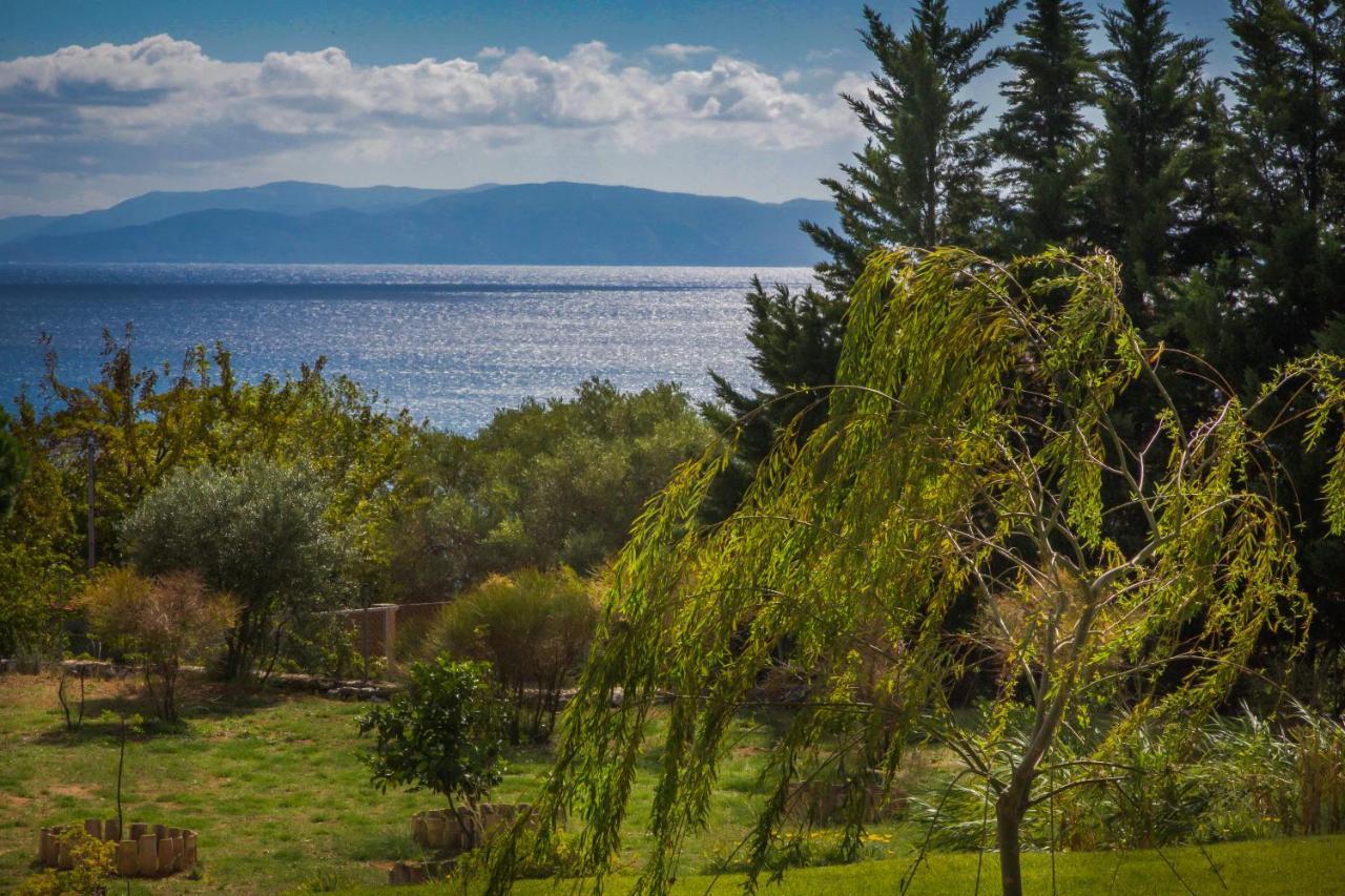 Driftwood Villa Каравадос Экстерьер фото